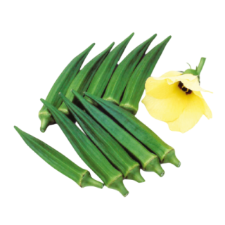 Jeevan Okra From Known You Seed (India)-KYI